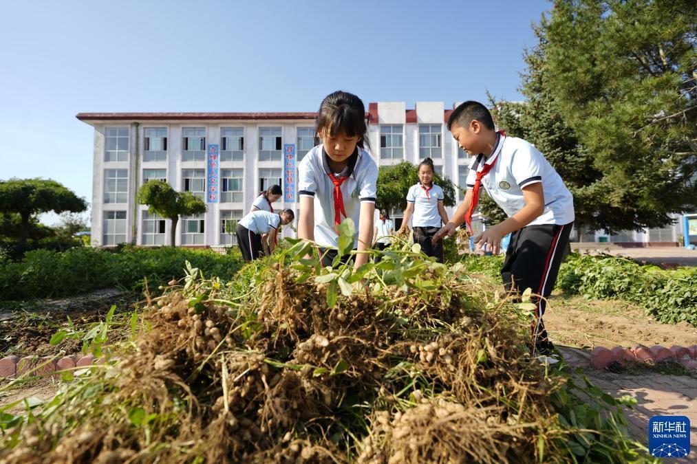 线上mg现金