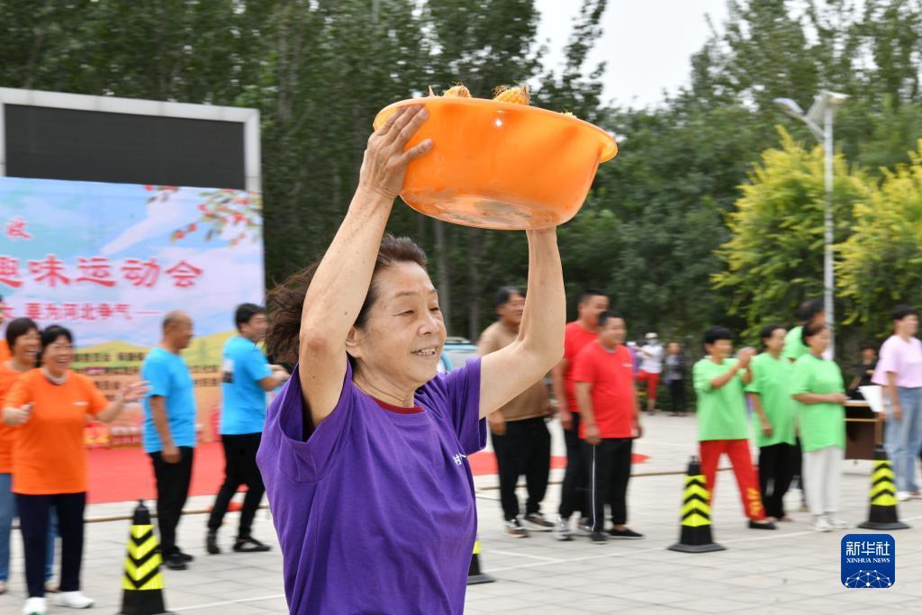 博金国际账号